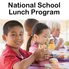 Free Lunch Program Requirements